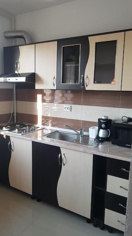 Caransebeş Apartament Teo מראה חיצוני תמונה